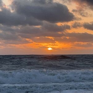 Gallery Photo 34
