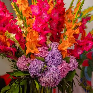 Gallery Photo 13
