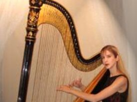 Kari Gardner - Harpist - Grayslake, IL - Hero Gallery 4
