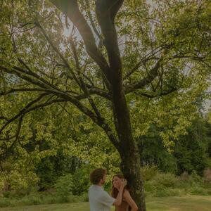 Gallery Photo 6
