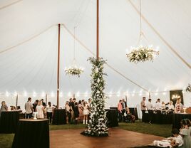 Inside reception tent with guests and hanging foliage