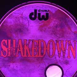 Shakedown Party Band, profile image