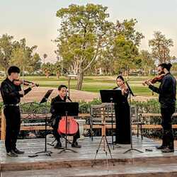 Serenade Wedding and Event Music, profile image