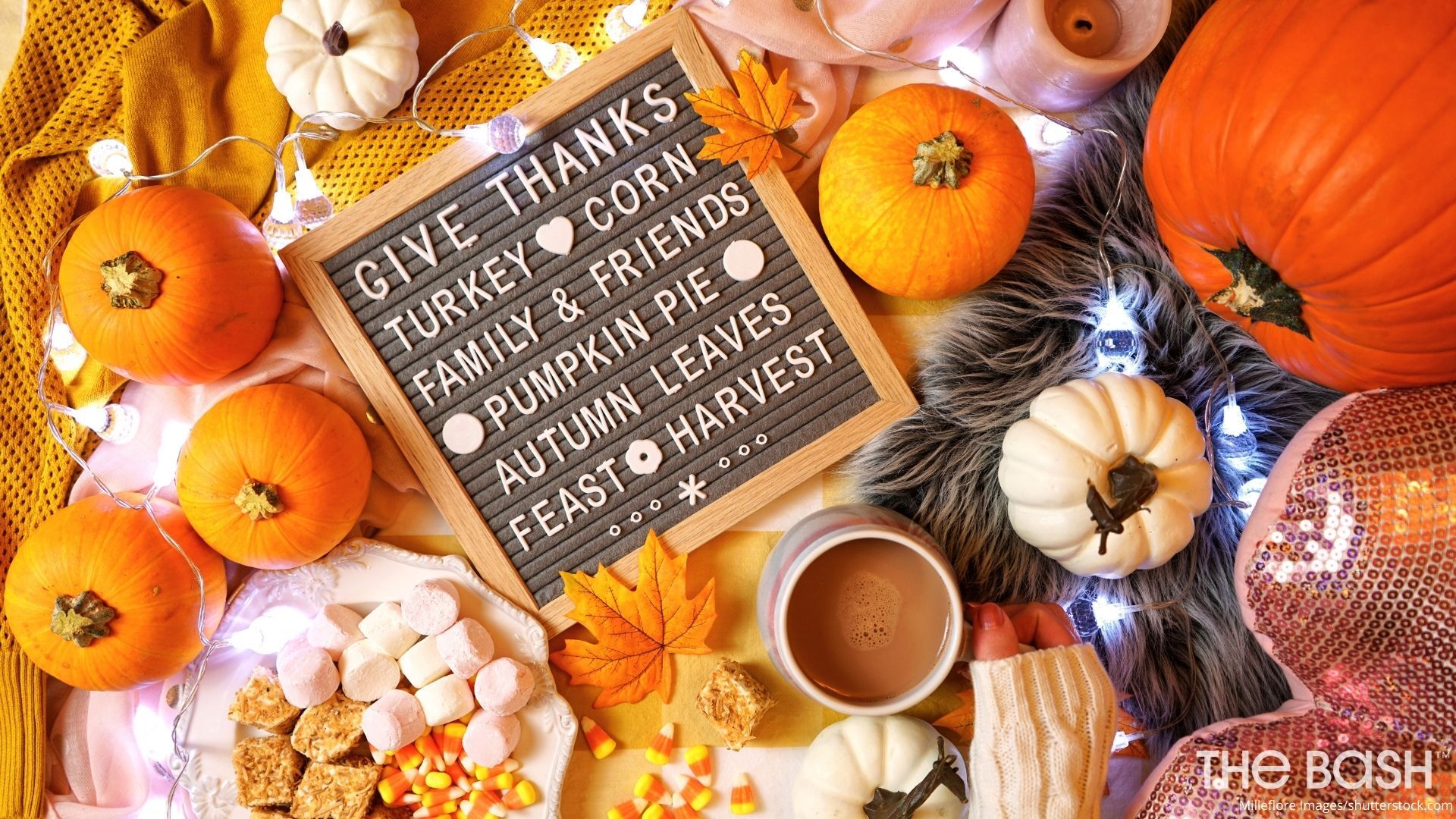 free thanksgiving turkey backgrounds