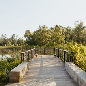 Gallery Photo 1