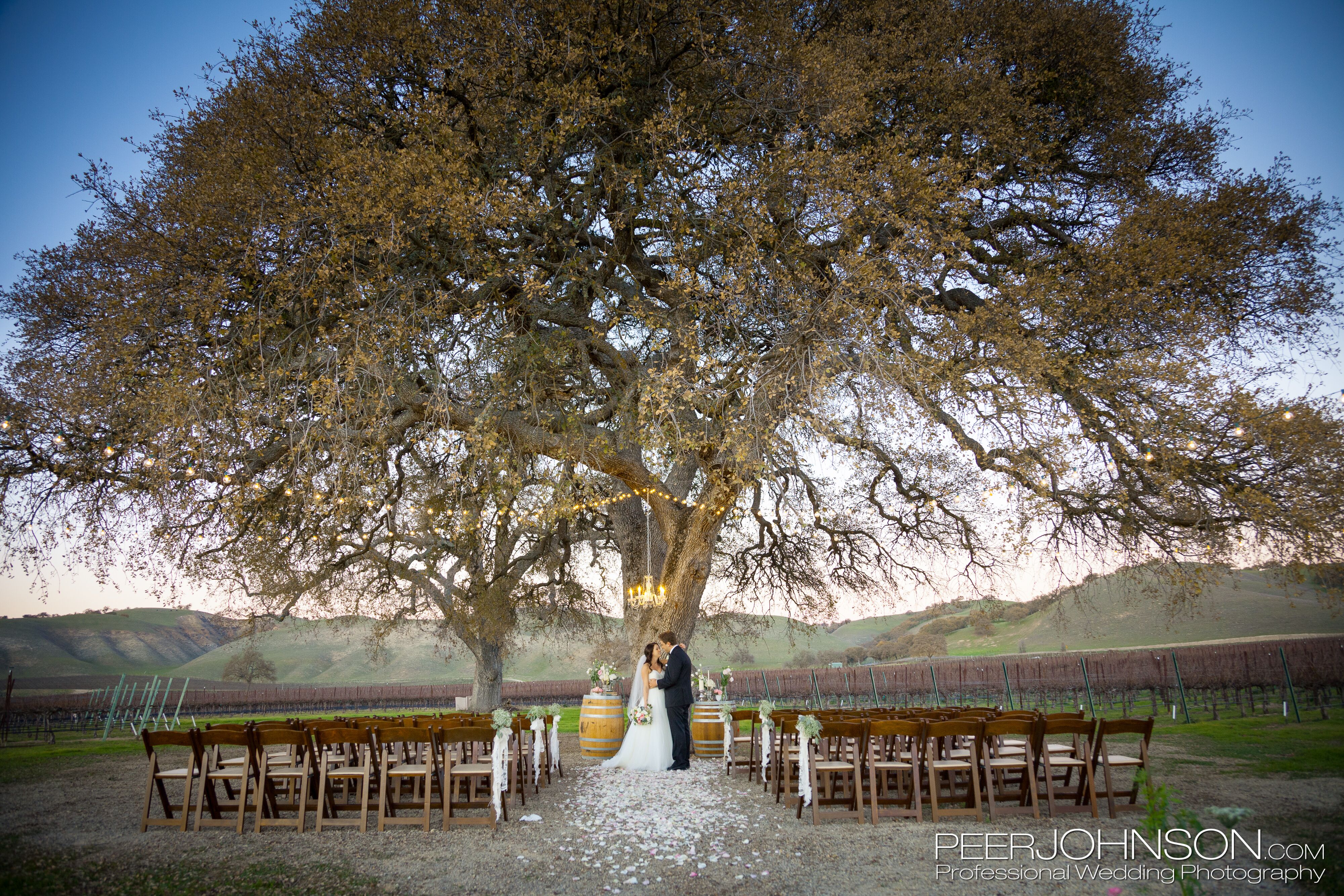 Cass Winery and Vineyard | Reception Venues - Paso Robles, CA