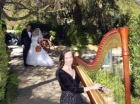 Harpist Christine MacPhail - Harpist - Orlando, FL - Hero Gallery 2