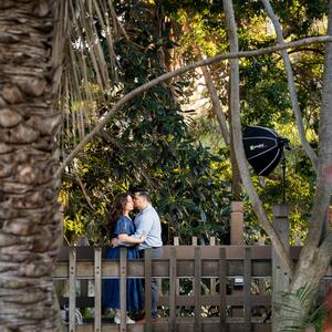 Gallery Photo 31