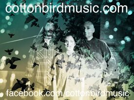 Cotton Bird - Cover Band - Clanton, AL - Hero Gallery 4