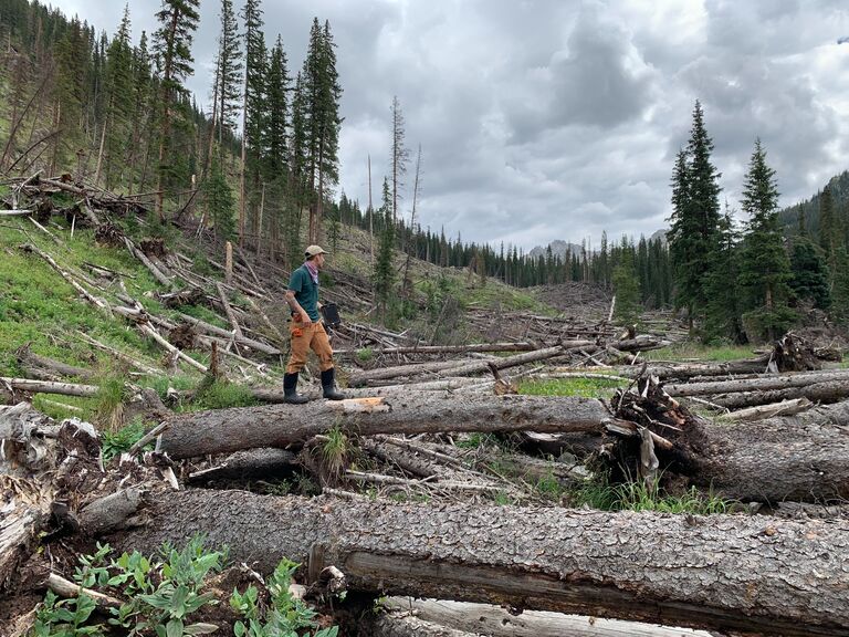 We published our first scientific paper together on snow avalanches and downed wood in Rocky Mountain streams!
