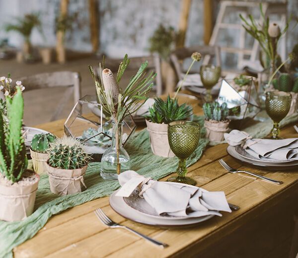 Succulent Party