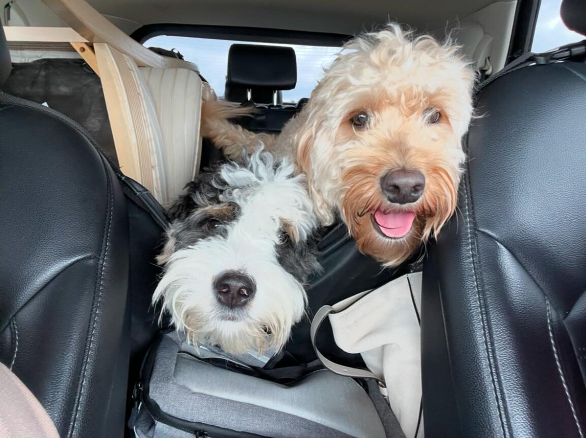 Roadtrip to Florida for Thanksgiving 2023