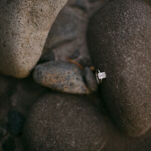 Gallery Photo 49