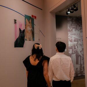 Gallery Photo 2