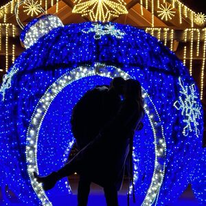Gallery Photo 20