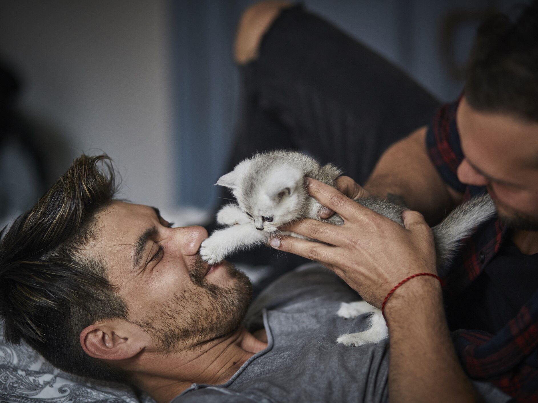 188 Of The Best Cat Names for Your New Fur Baby