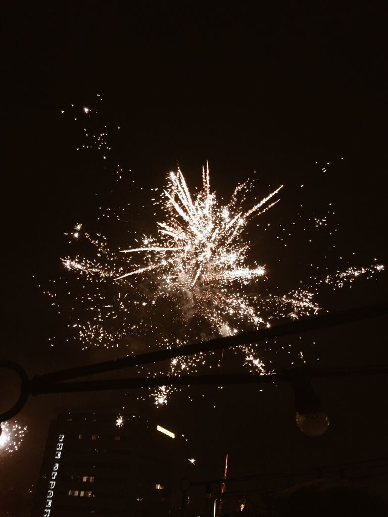 Finally, they finished their travels in Amsterdam for New Year's Eve and saw the most incredible fireworks!