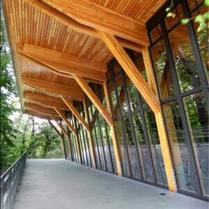 Gallery Photo 2