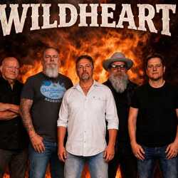 Wildheart Country / Rock Band, profile image