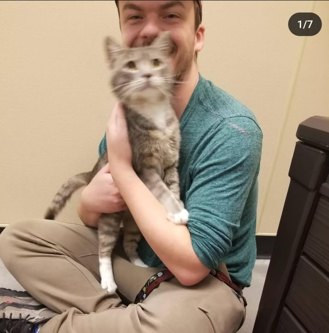 We adopted our "first" cat together (the second cat overall). Welcome to the family, Grayson. 