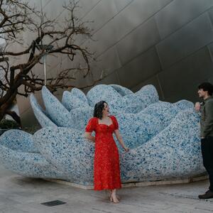 Gallery Photo 11