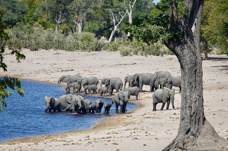 In June we took a few weeks to explore Namibia and South Africa. Gerrit was right at home guiding, camping and tracking in these stunning places! We felt so lucky to watch herds of animals come to drink from this river. 