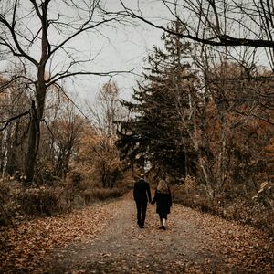 Gallery Photo 46
