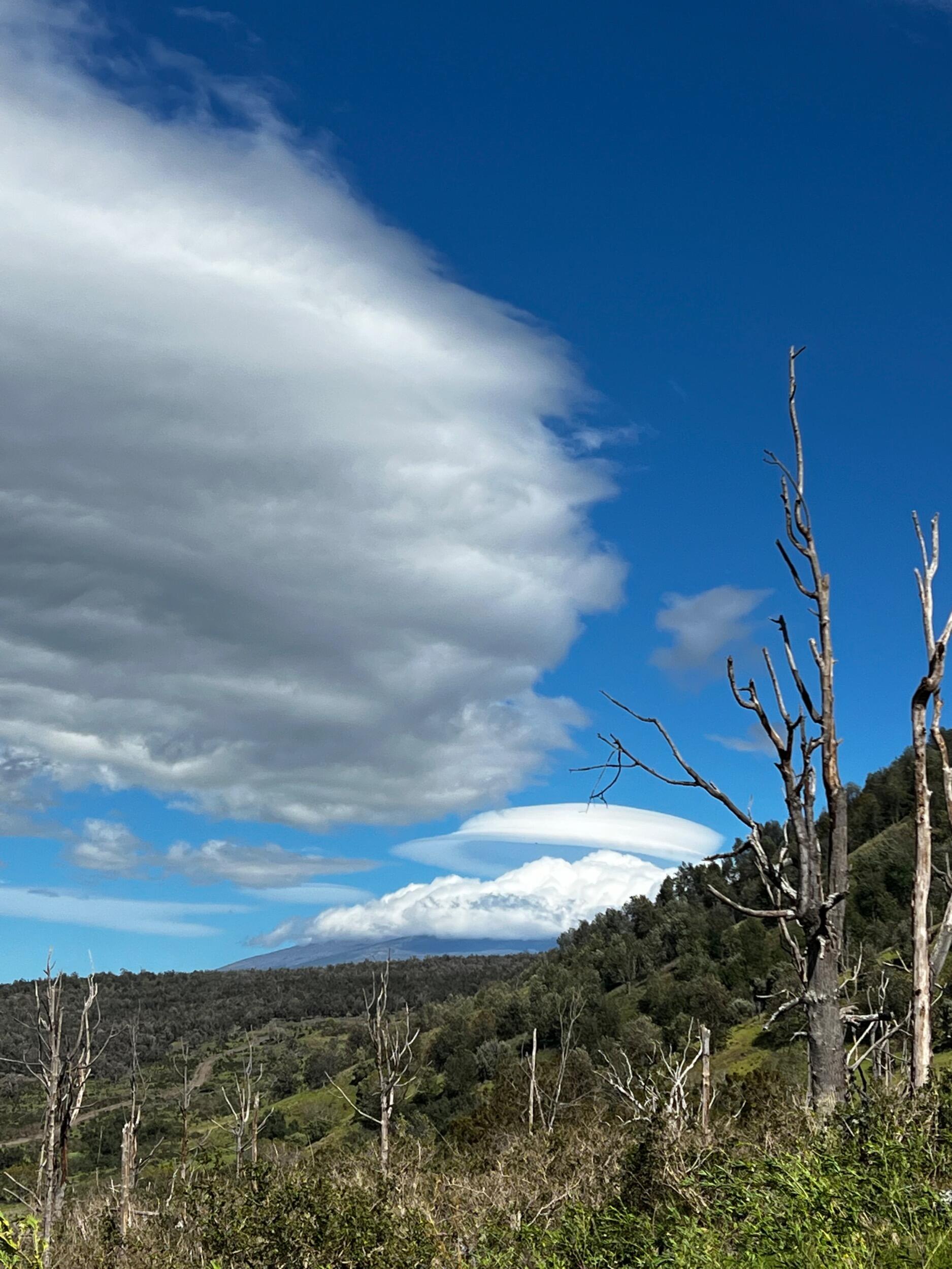 Finally, Kin asked Aiko out on a hike at Pu’uwa’awa’a for their first date, despite heavy wind advisories. Aiko was weary of hiking up a mountain in such conditions, but Kin told her not to worry, because he had an umbrella that they could fly down with like Mary Poppins if they needed to. She figured she would at least get some laughs out of the meet up if nothing else. But they lucked out with bunches of cute baby sheep and cows, a tunnel of dozens of butterflies, unique cloud configurations, and ended the hike with a misty rainbow. She knew this one was different, and nothing was ever the same again 💫