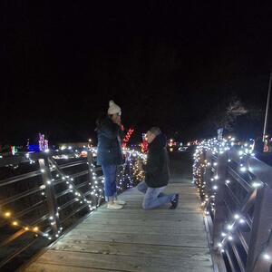 Gallery Photo 22