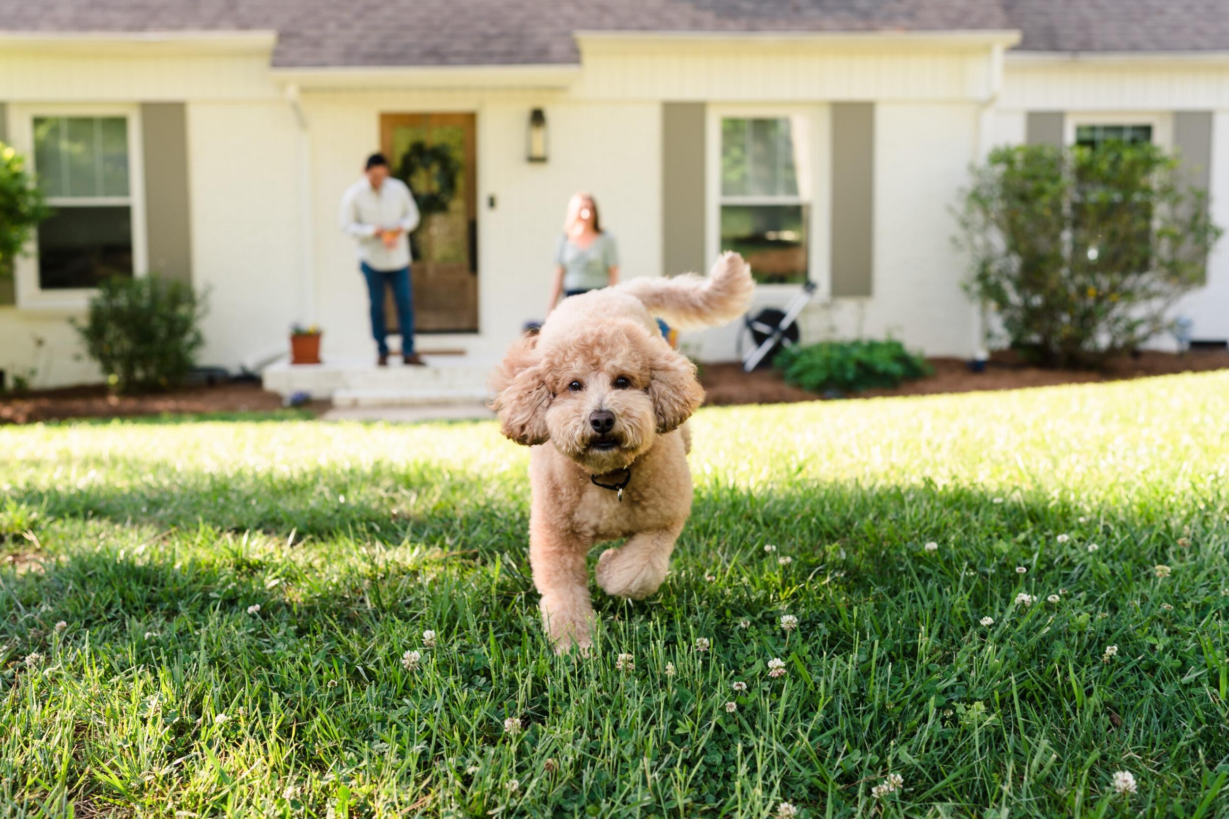 Kemba reminding us that we bought a house in 2020 and never took pictures!