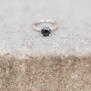 Gallery Photo 54