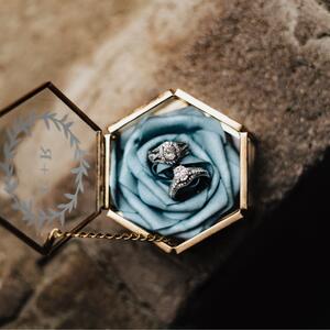 Gallery Photo 73