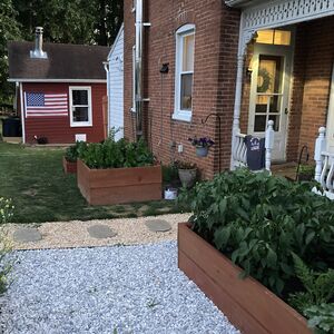 Gallery Photo 27