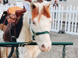 Haley’s Petting Zoo - Animal For A Party - Hemet, CA - Hero Gallery 3