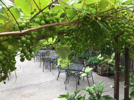 Uncommon Ground (EdgeWater) - Patio - Private Garden - Chicago, IL - Hero Gallery 2