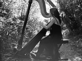 Lauren Grace - Harpist - Seattle, WA - Hero Gallery 1