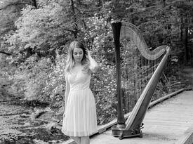 Caresse Boyers Burkhart - Harpist - Wauseon, OH - Hero Gallery 4