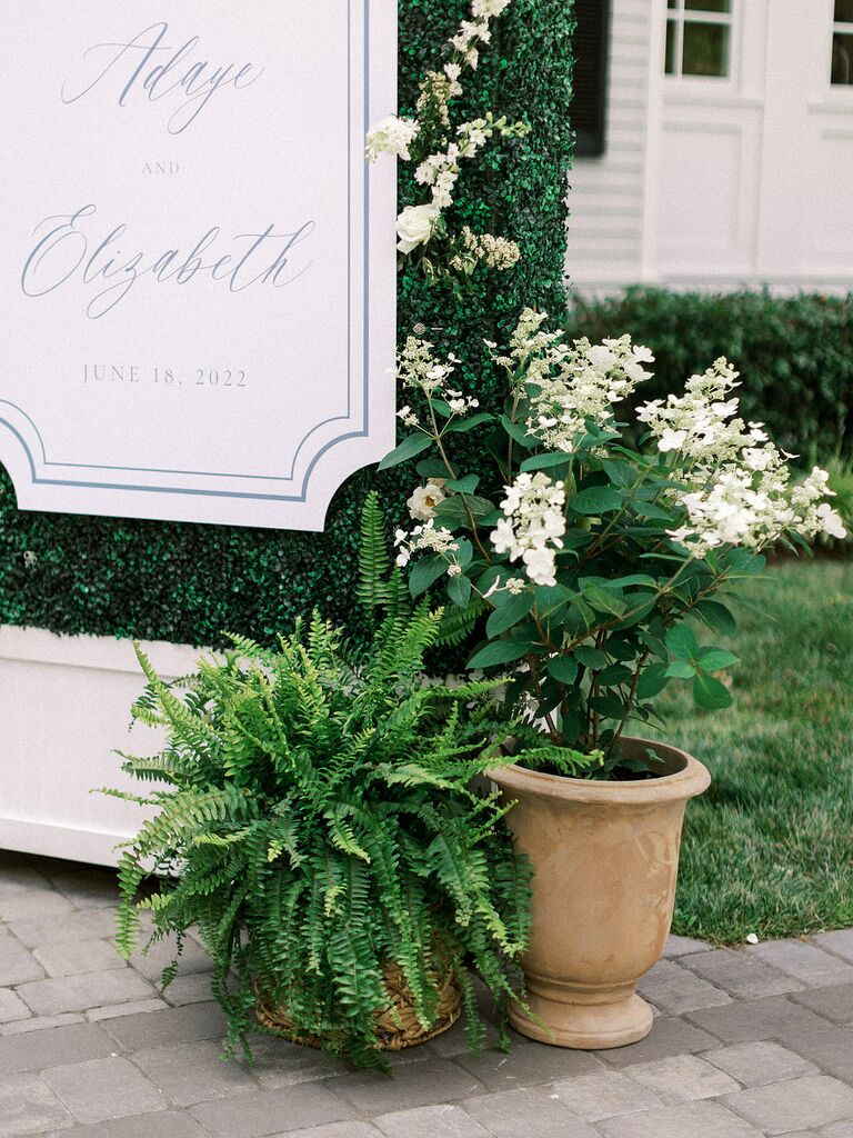 Garden-Like Potted Plants