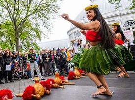 Uso’s Polynesian Entertainment - Polynesian Dancer - Orlando, FL - Hero Gallery 4