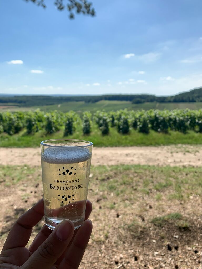 Uiteindelijk zijn we voor dit champagnehuis gegaan en zullen we heel het weekend van deze lekkere druiven kunnen genieten 