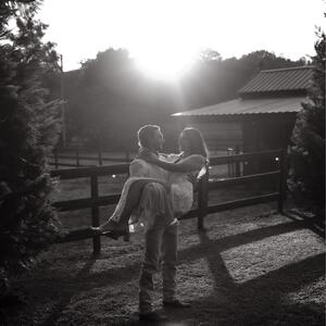 Gallery Photo 14