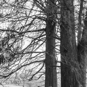 Gallery Photo 369