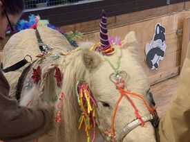 Dinky Doo Petting Zoo & Pony Rides Too - Animal For A Party - Wayland, NY - Hero Gallery 3