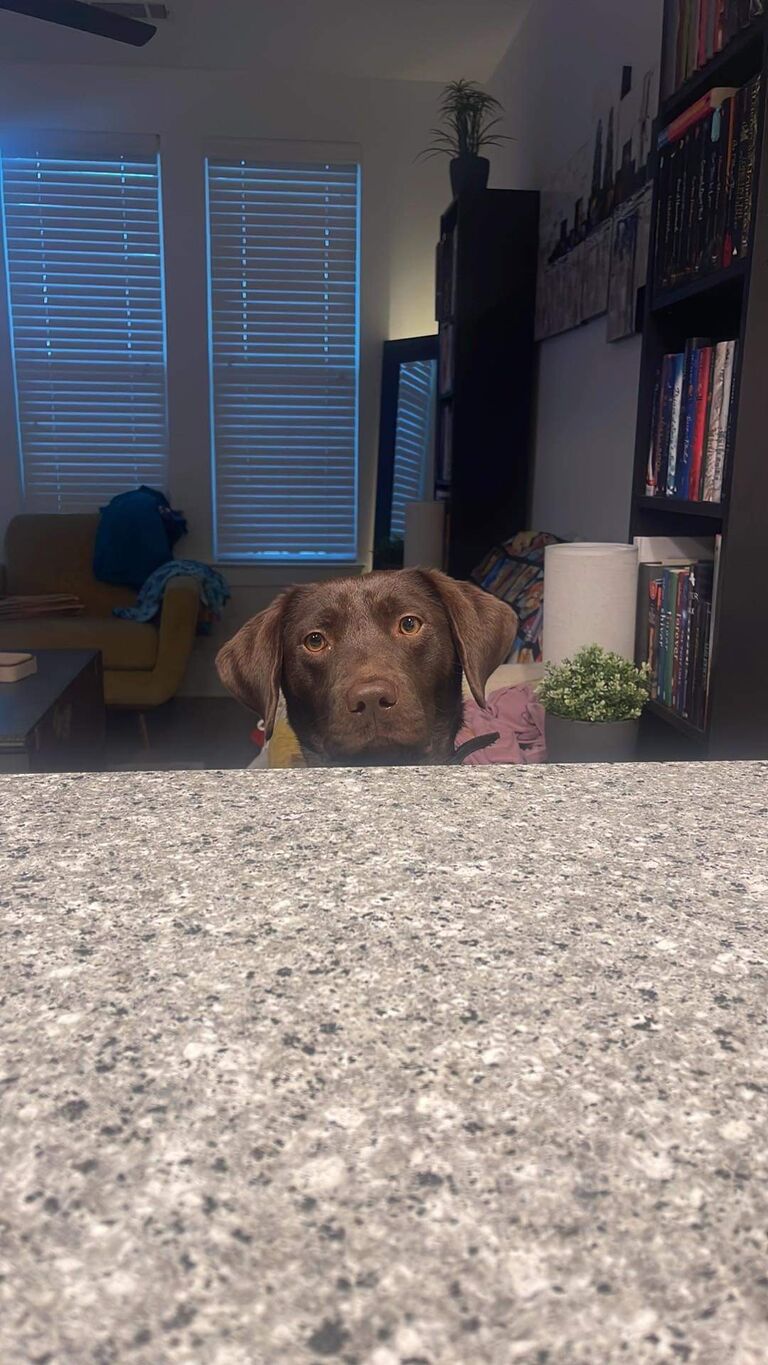 Maui finding him a sit at the dinner bar.