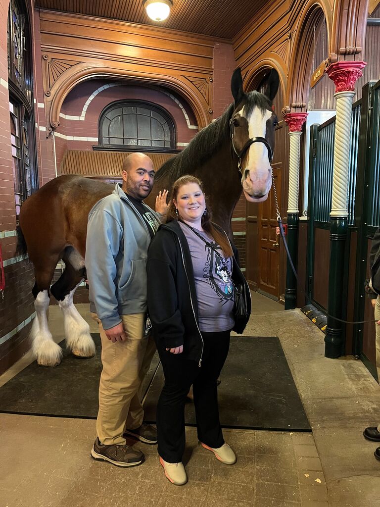 Time with the Clydesdales in St. Louis
