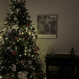 Gallery Photo 2
