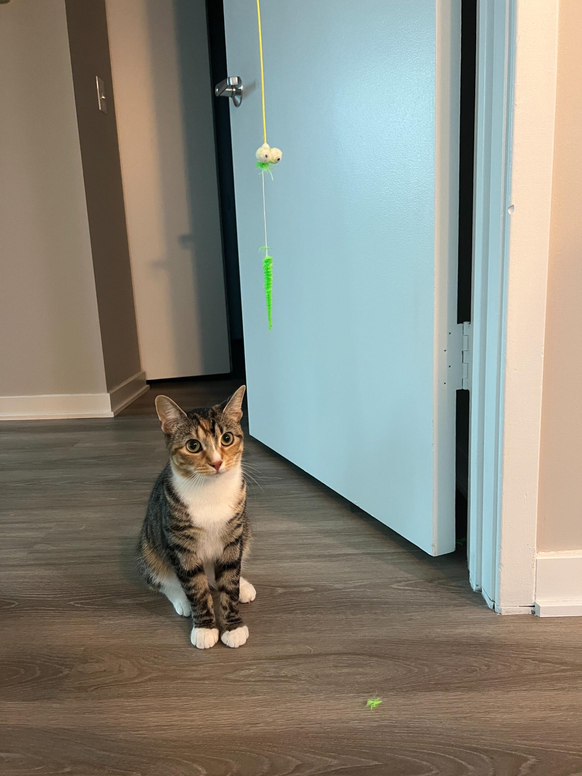 Adopted the second baby, Ellie! Pictured: The art, the artist
