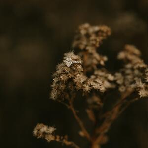 Gallery Photo 31