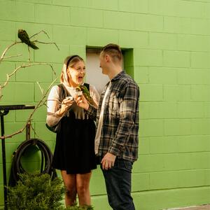 Gallery Photo 15