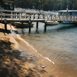 Gallery Photo 7
